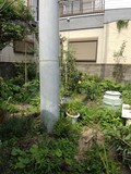 IMG_20220710_145120.jpg